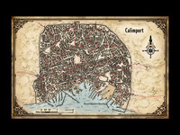 Adventures in Faerûn; Calimport (Battle Map Print)