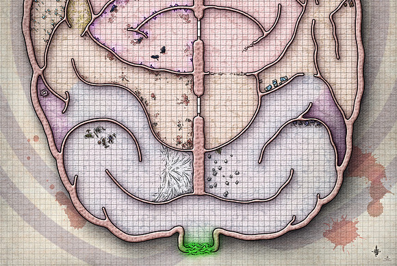 Phandelver and Below; Briny Maze - South (Battle Map Print)