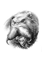 The Epic Atlas: Episode 000; Spiderbear (Artist's Print)